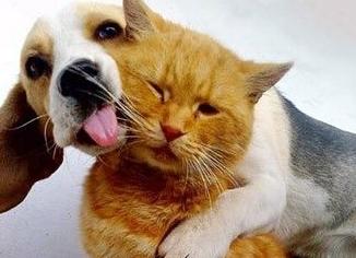 6 практик: что делать, если устал от всего