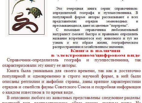 Виды сов. описание, названия и фото видов сов