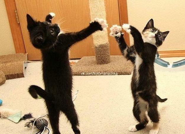 7 навыков, необходимых любому независимому человеку