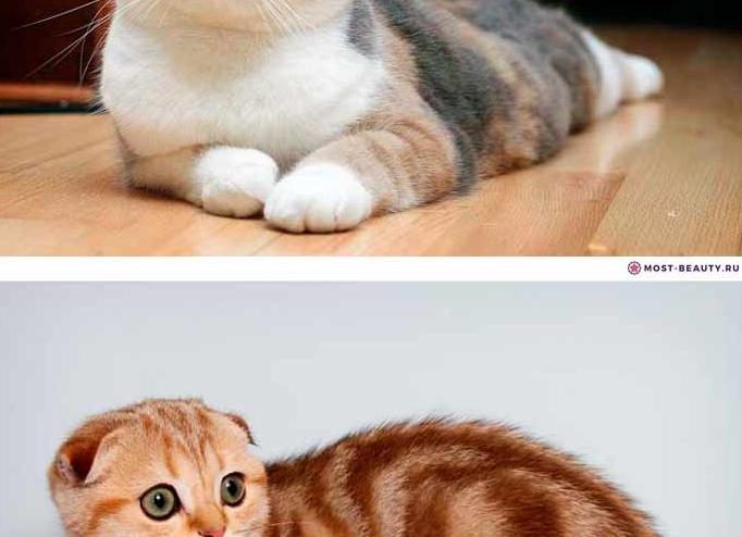 Как настроить себя на работу: несколько полезных советов