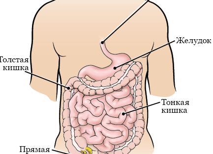 Как быстро восстановить психическую и физическую энергию?