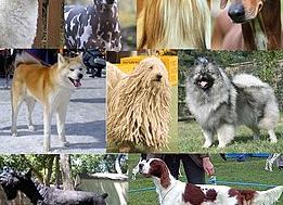 10 малоизвестных секретов человеческой психики и их научное объяснение