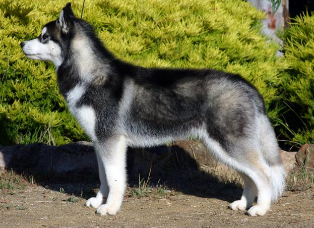 Жаль, что я не знала об этих 7 жизненных истинах раньше