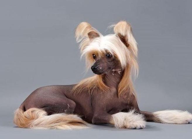 Хотите жить полной жизнью? Пошлите подальше свои эмоции и сконцентрируйтесь