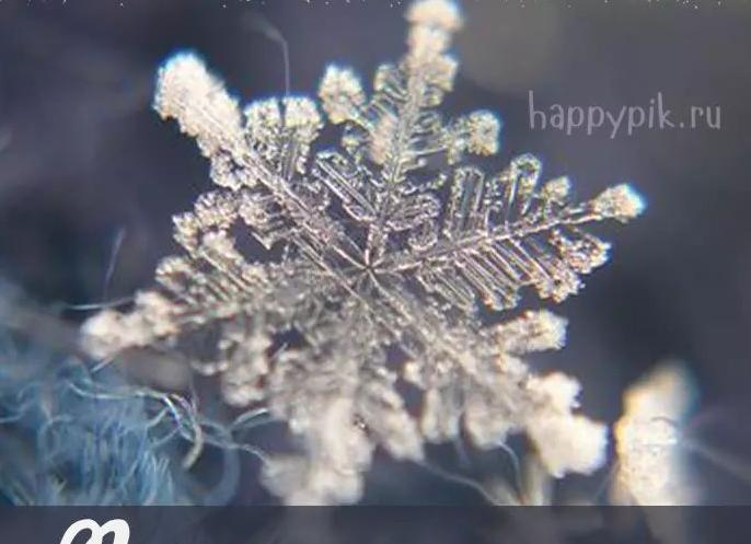 5 вещей, которые каждое воскресенье делают продуктивные люди