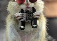 Самообладание — что это такое и как его развить?