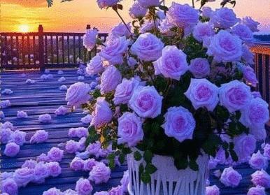 Добиться всего, оставаясь при этом собой