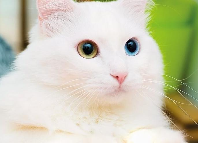 Как я поборол страх смерти