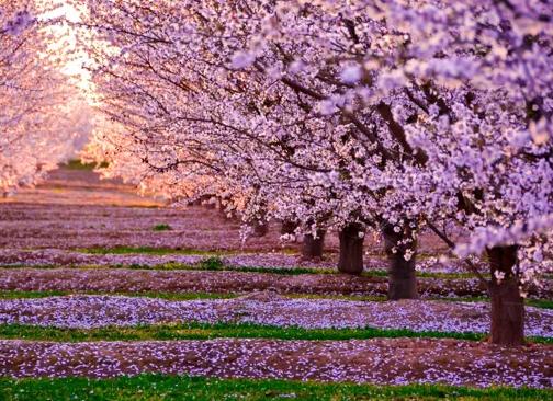 7 ошибок в воспитании, которые мешают детям расти лидерами