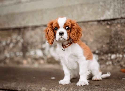 Об этих 20 привычках молчат все счастливые люди