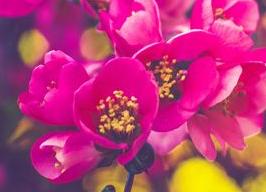 3 ошибки, которые допускают родители, когда дети выводят их из себя