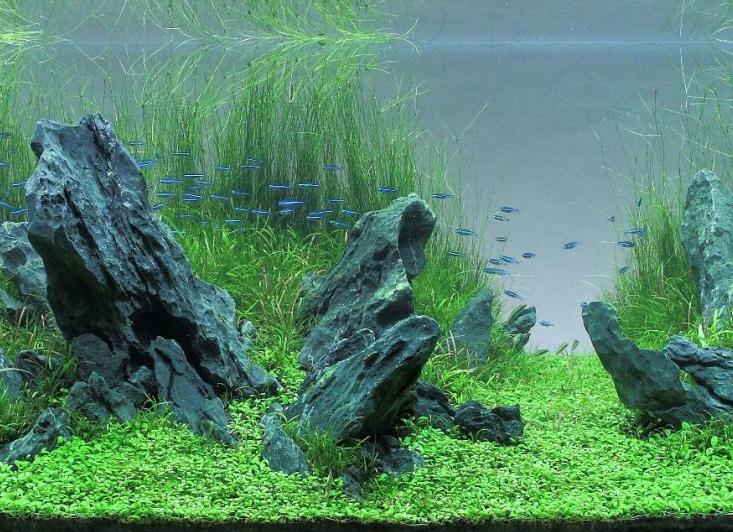 12 фильмов повышающие женскую самооценку