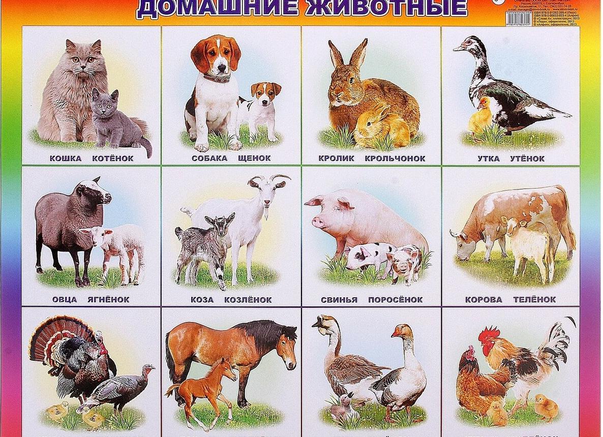 Принимать неприятных людей такими, какими они есть: зачем и как это сделать