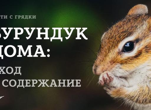 11 советов, как стать интересным собеседником