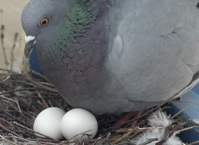 Лучшая инвестиция, которую я сделал в своей жизни