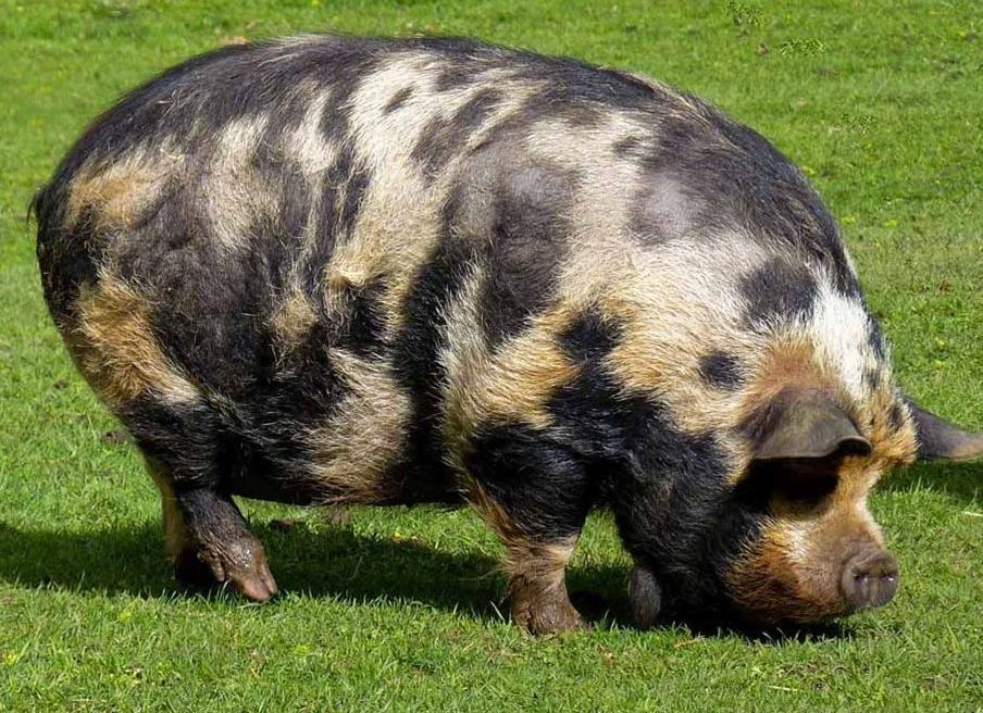 Некоторые люди приходят в нашу жизнь только для того, чтобы мы не стали такими, как они