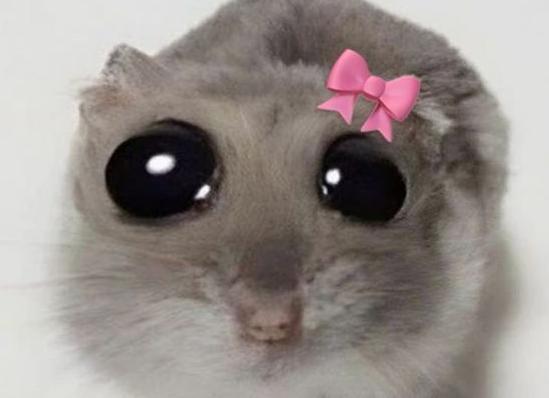 Хотите стать успешнее и счастливее? Перестаньте задавать себе эти 3 вопроса!