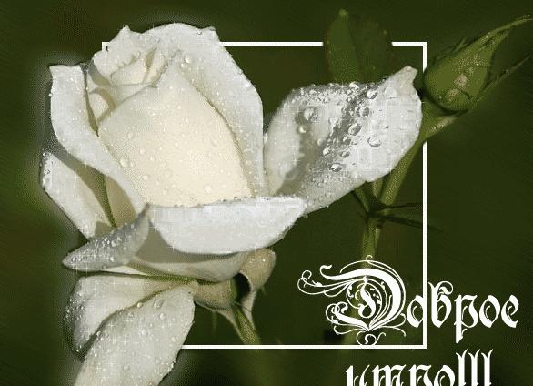 Куда приводит безграничное терпение