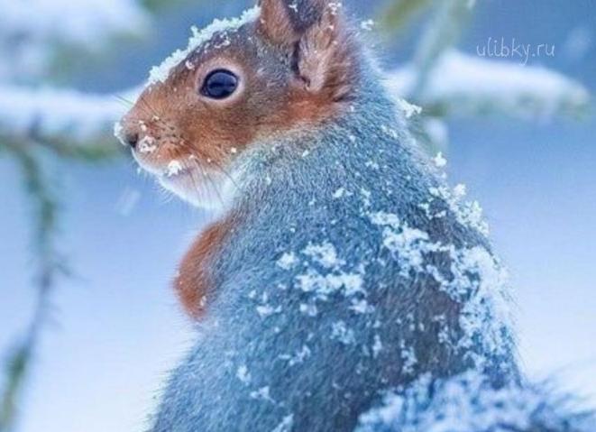 Как перестать беспокоиться о том, что не можешь изменить