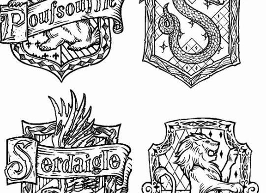 Почему никогда не поздно открыть в себе что-то новое