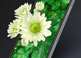 10 фильмов о безумной любви и страсти