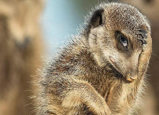 5 способов навести порядок в делах и начать мыслить ясно