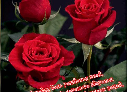 Зачем вам 10 тысяч ножей, если все, что вам нужно, – это ложка