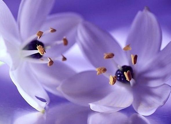 Эти 7 принципов позволят «жить как хочу», а не «как получается»