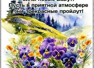 Как реагировать на оскорбления: 6 простых советов