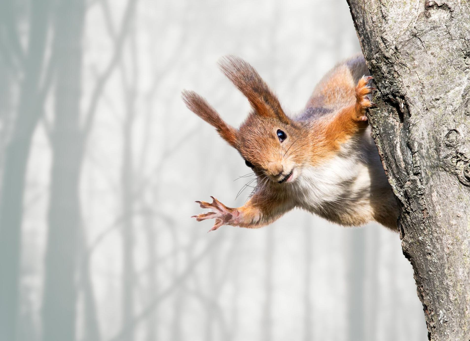 4 причины всех наших болезней, согласно психосоматике