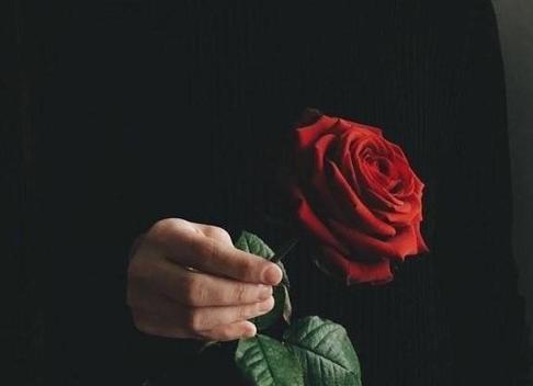 8 жизненно важных истин, о которых мы часто забываем