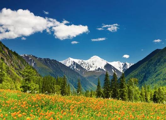 Топ 300 фото весны, красивые картинки с весной в хорошем качестве